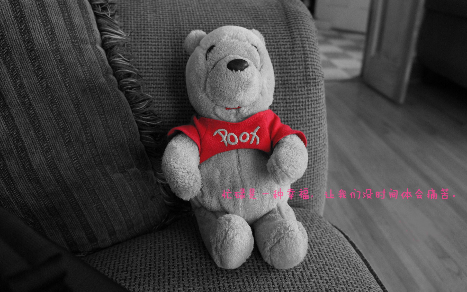 “萨尔·巴赫的决胜时刻：南非羚羊队的英雄”